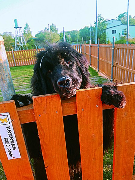 ねぇねぇ、遊ぼうよぉ