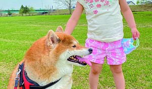 ポカポカ陽気で気持ちいいね