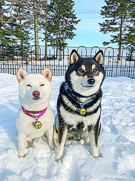 雪の中でも仲良くハイチーズ