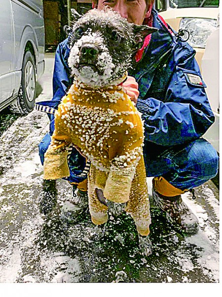 雪降りの散歩だいすき！！