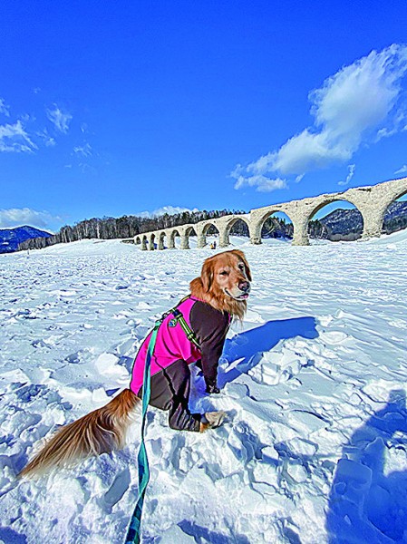 冬のタウシュベツ川橋梁！いい天気！