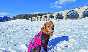 冬のタウシュベツ川橋梁！いい天気！