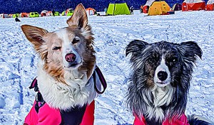 足を伸ばして阿寒湖満喫