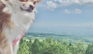 眺めがいいな～