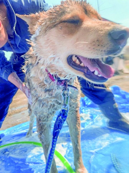 最高に気持ちがイイ!!