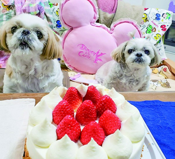 ママケーキだけど「食べたいんですけど～」