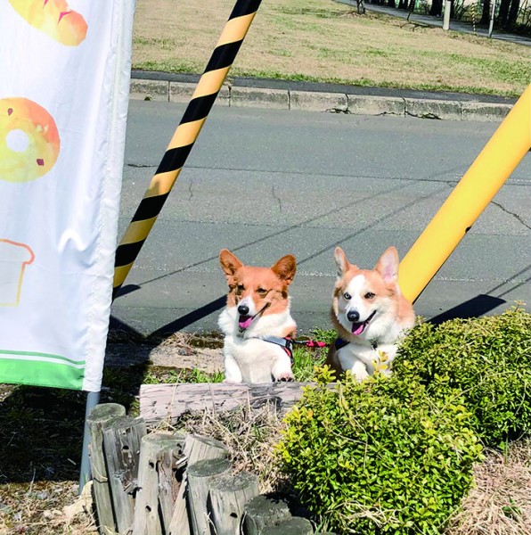 パン屋さんへお買い物　蓬と蒼