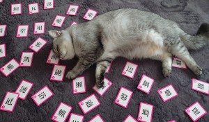 ちょっとソコで寝ないでくれます！？