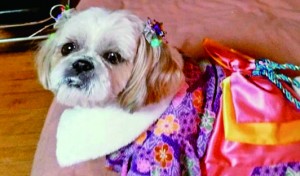 着物似合ってるでしょ