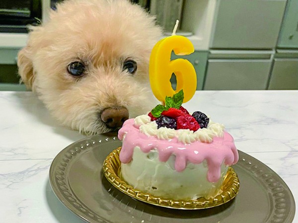 6歳のお誕生日手作りケーキでお祝い♪