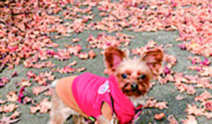 あ?もうすぐ3歳になります(^^)