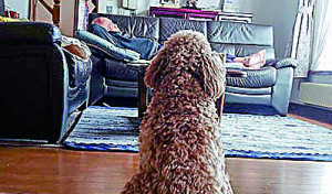 もっとおじいちゃんと遊びたいな～