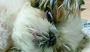 これでも眠ってるんだぜ…