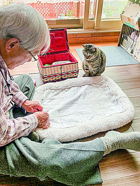 縫い物中の祖父を見守る猫