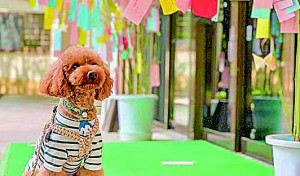 これからも元気でいますように…