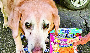 ９月２６日１５歳の誕生日を迎えました