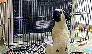 ストーブが恋しい季節になりましたw