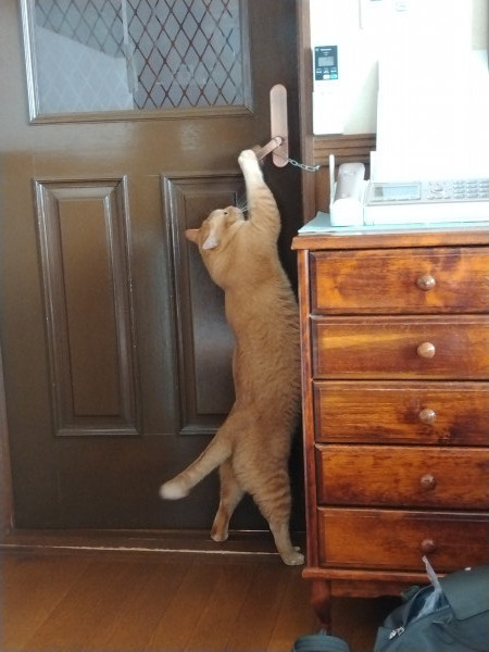 ドアを開けて出て行きます。