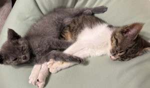 お気に入りの場所で仲良く♡