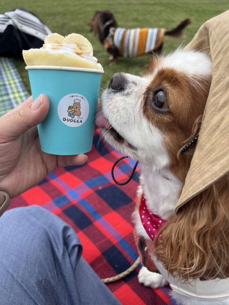 私にも食べさせて