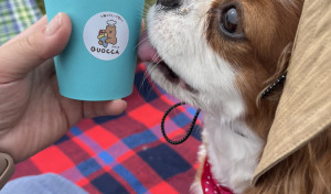 私にも食べさせて