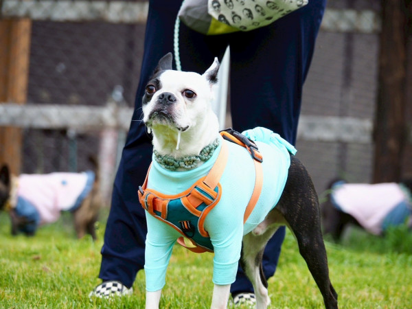 走った後はオヤツが食べたい