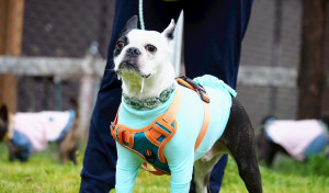 走った後はオヤツが食べたい